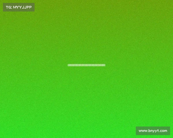 莱默尔：这场势均力敌的较量中我们始终没有放弃任何机会